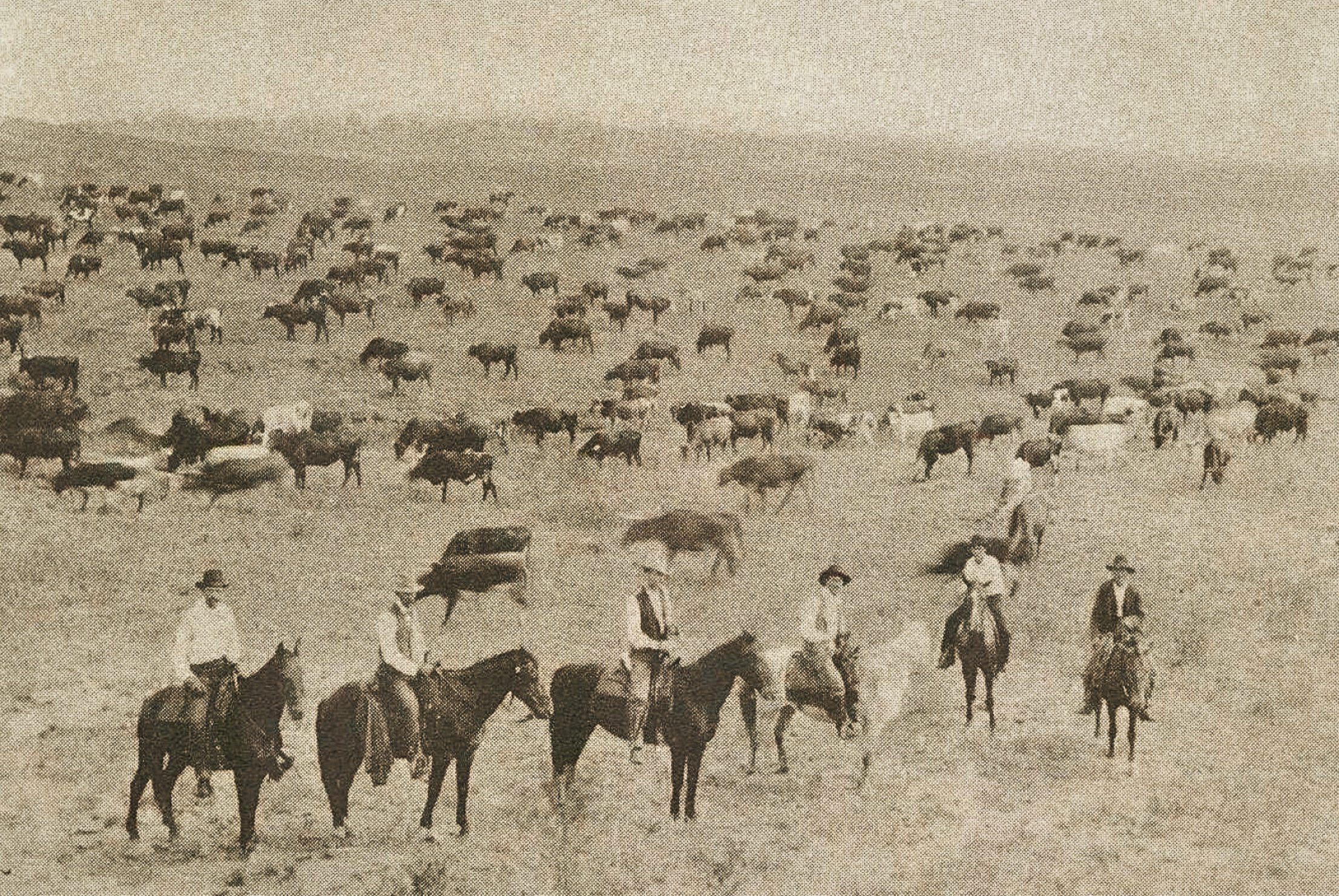 How Cowboys Got Their Start in the Old West | Way Out West