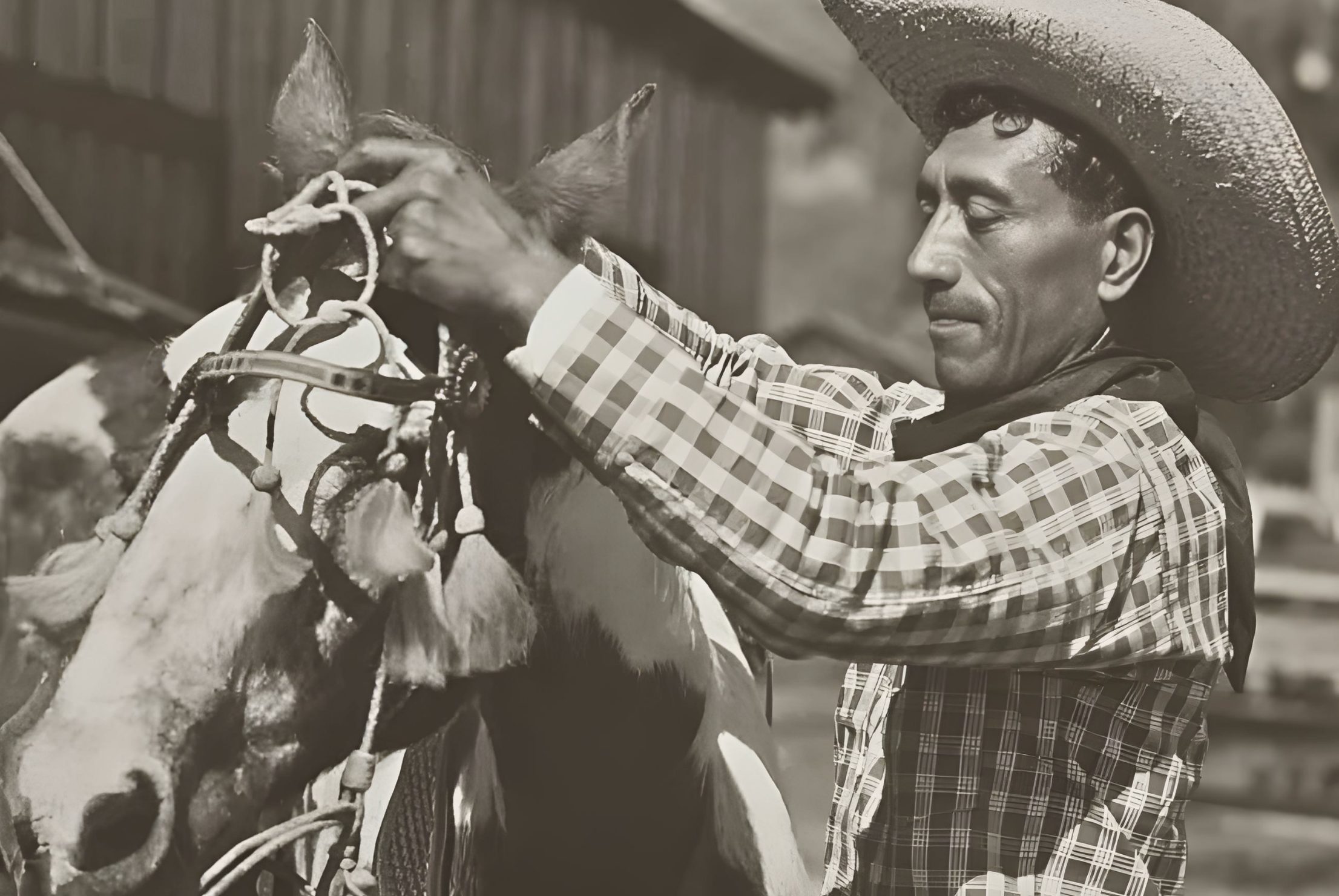 Hawaiian Paniolo Cowboys: History, Culture, and Island Ranching